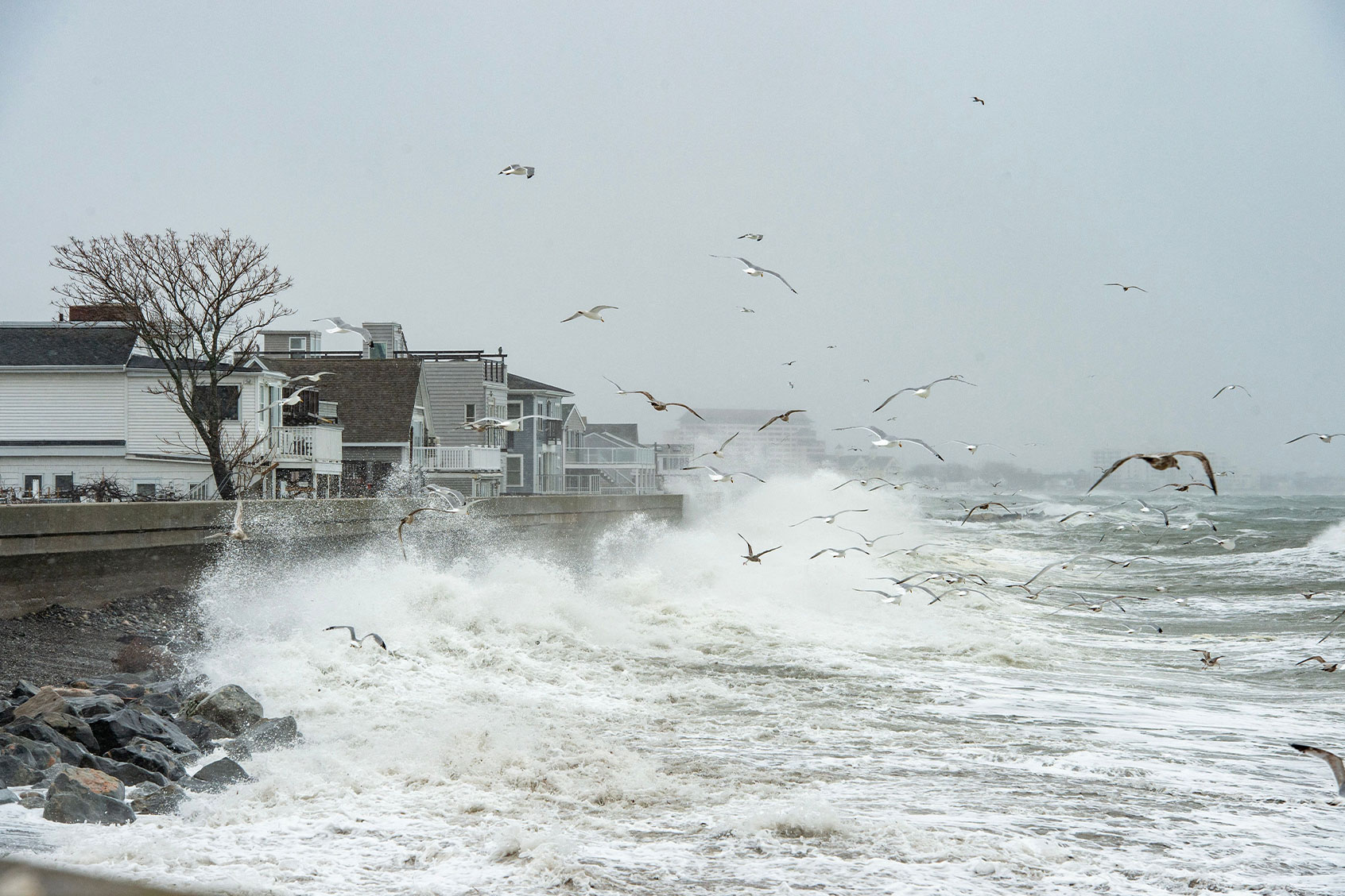 Seagulls fly above as waves hammer the sea wall and blasted coastal homes with water and rocks in Winthrop, Massachusetts on March 14, 2023. (JOSEPH PREZIOSO/AFP via Getty Images)