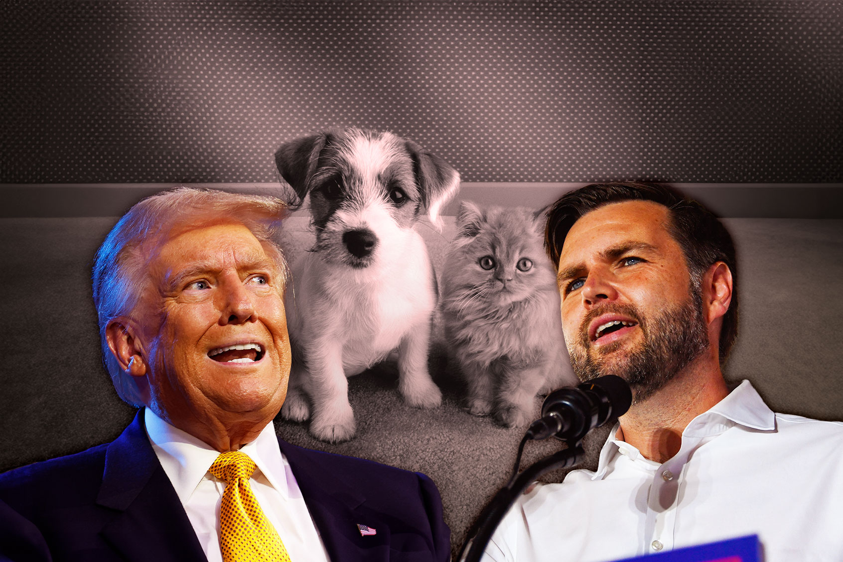 Donald Trump and JD Vance (Photo illustration by Salon/Getty Images)