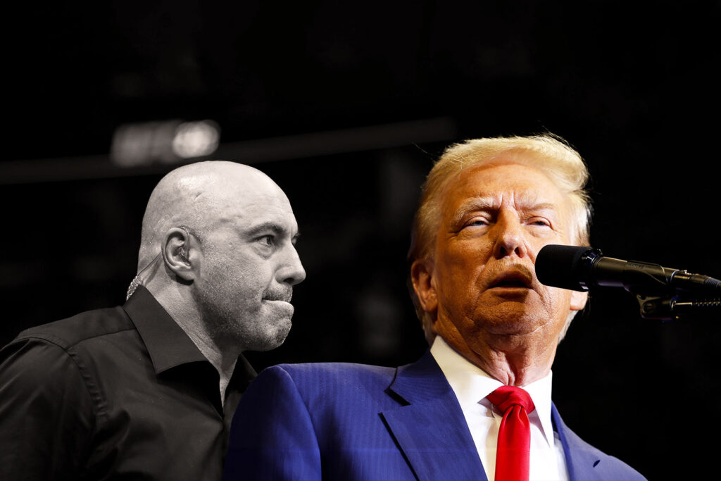 What did we learn from Donald Trump's 