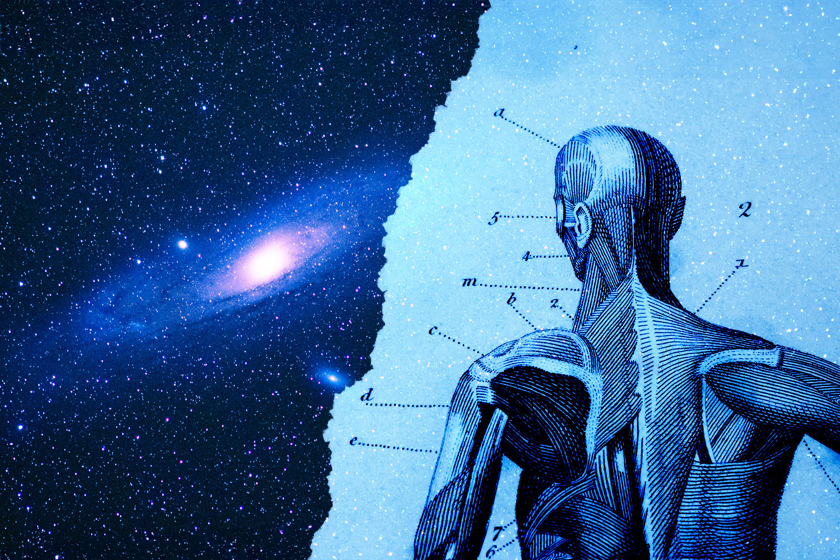 The Andromeda galaxy and an anatomy engraving (Photo illustration by Salon/Getty Images)