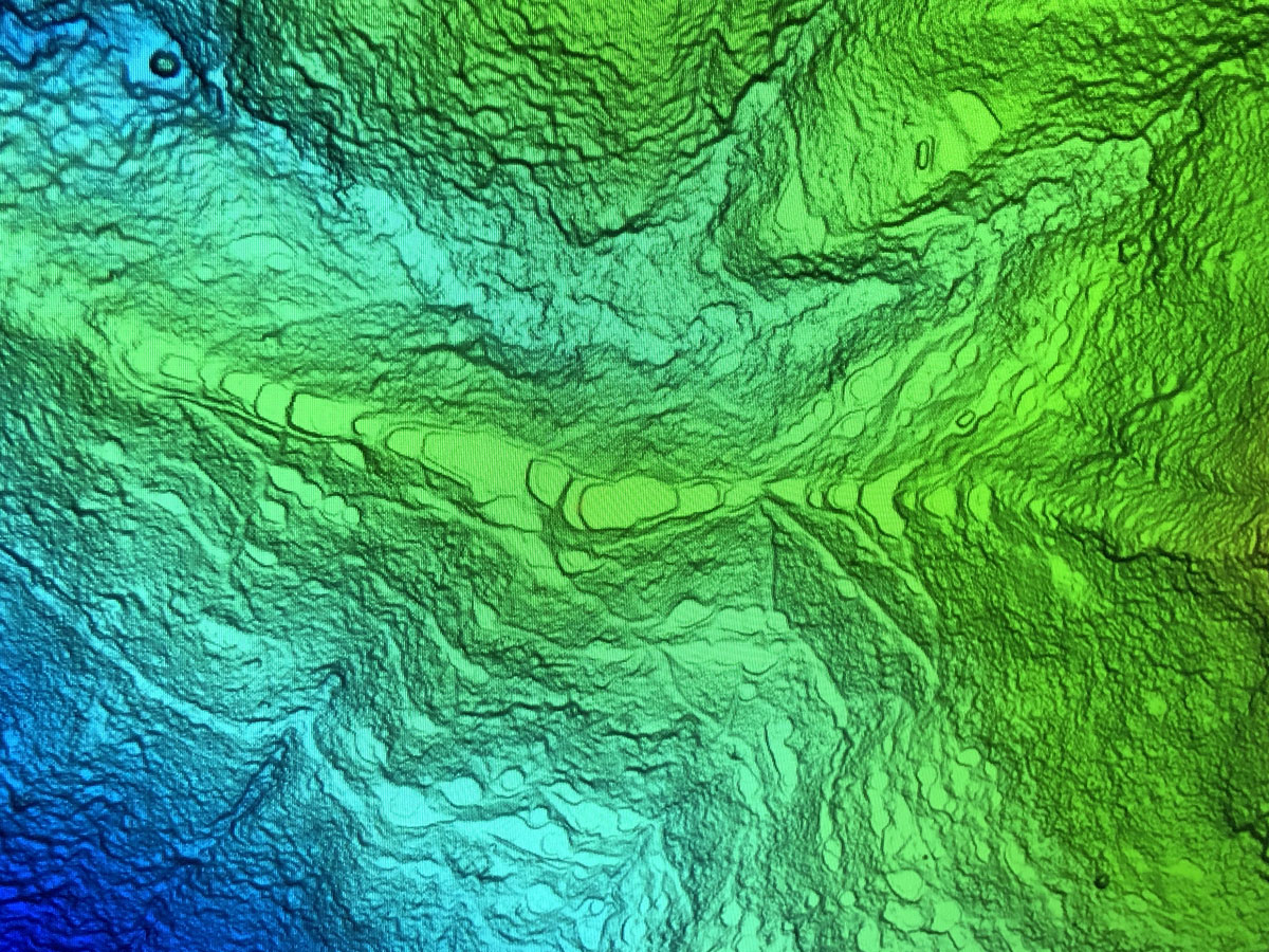 Lidar image of Ciudad Perdida