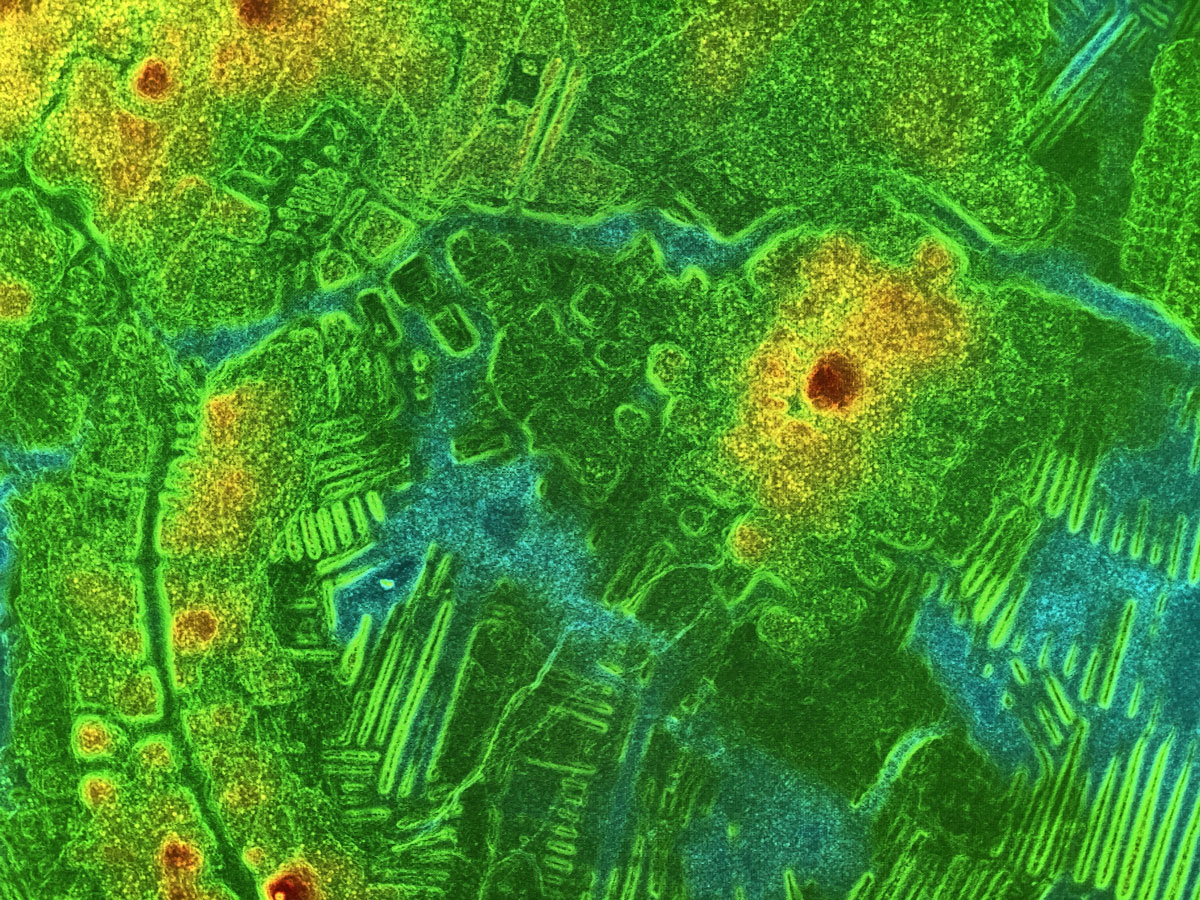 Lidar image of La Mojana Raised Fields in Colombia