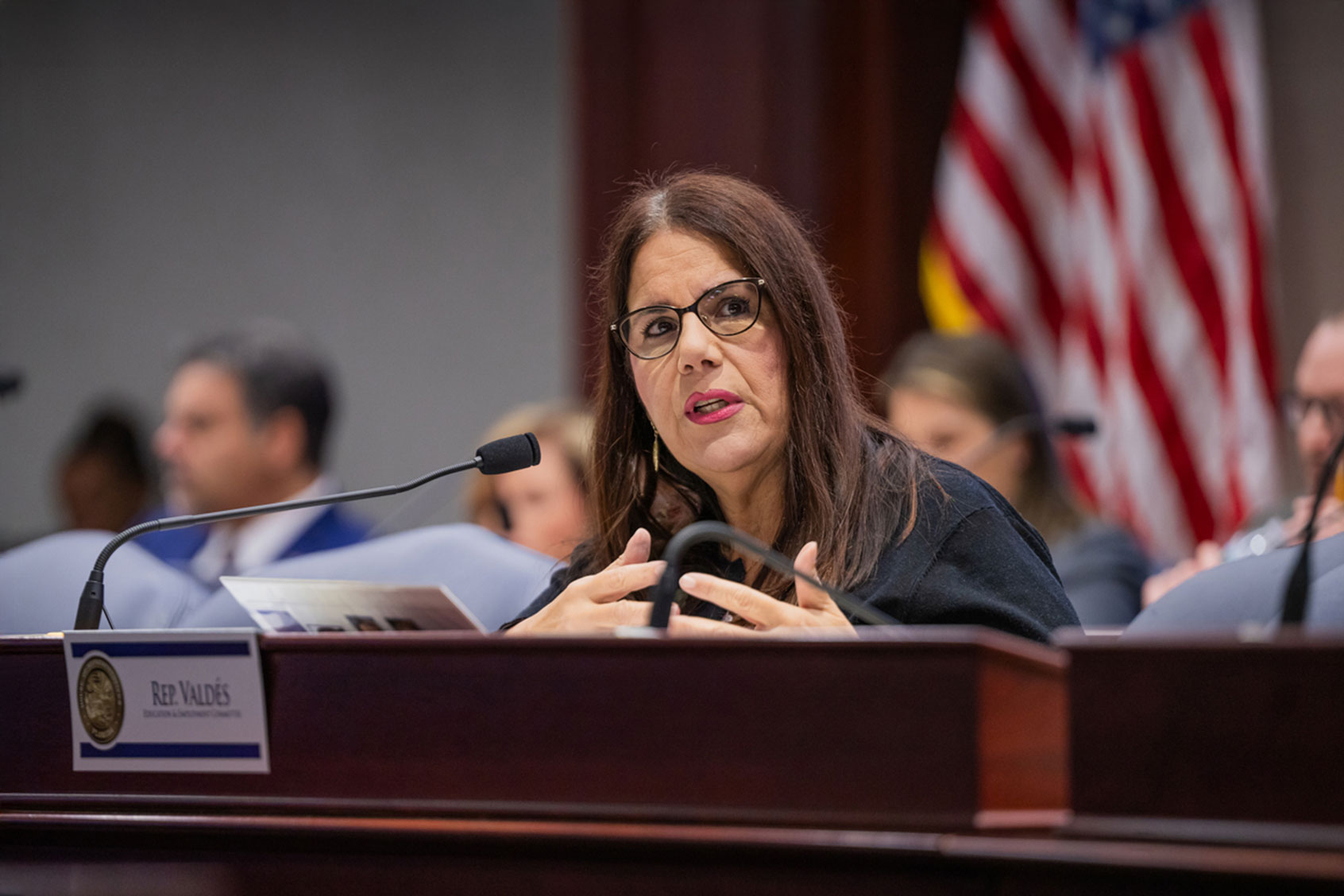 Florida State Representative Susan Valdes (Courtesy of Florida House of Representatives)