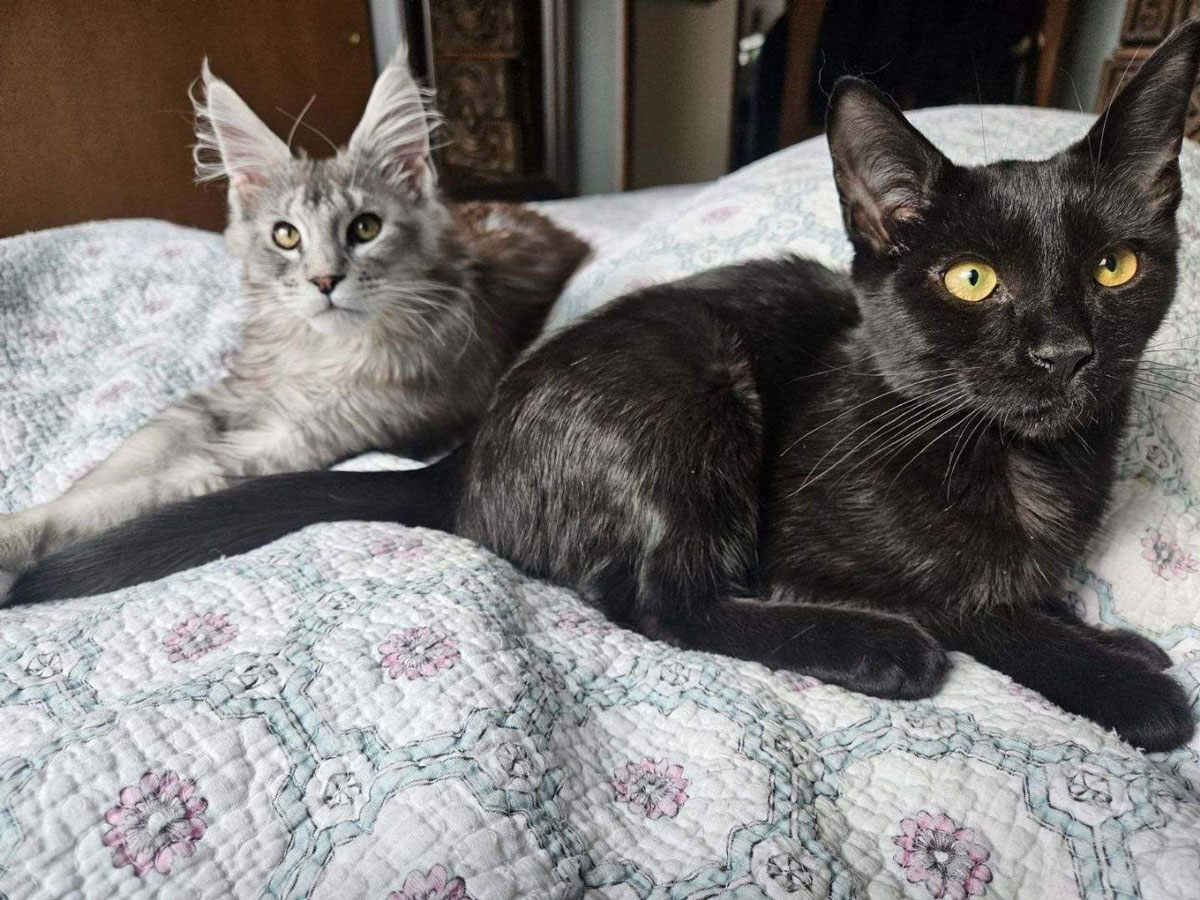 The Monster and Clyde, together at last