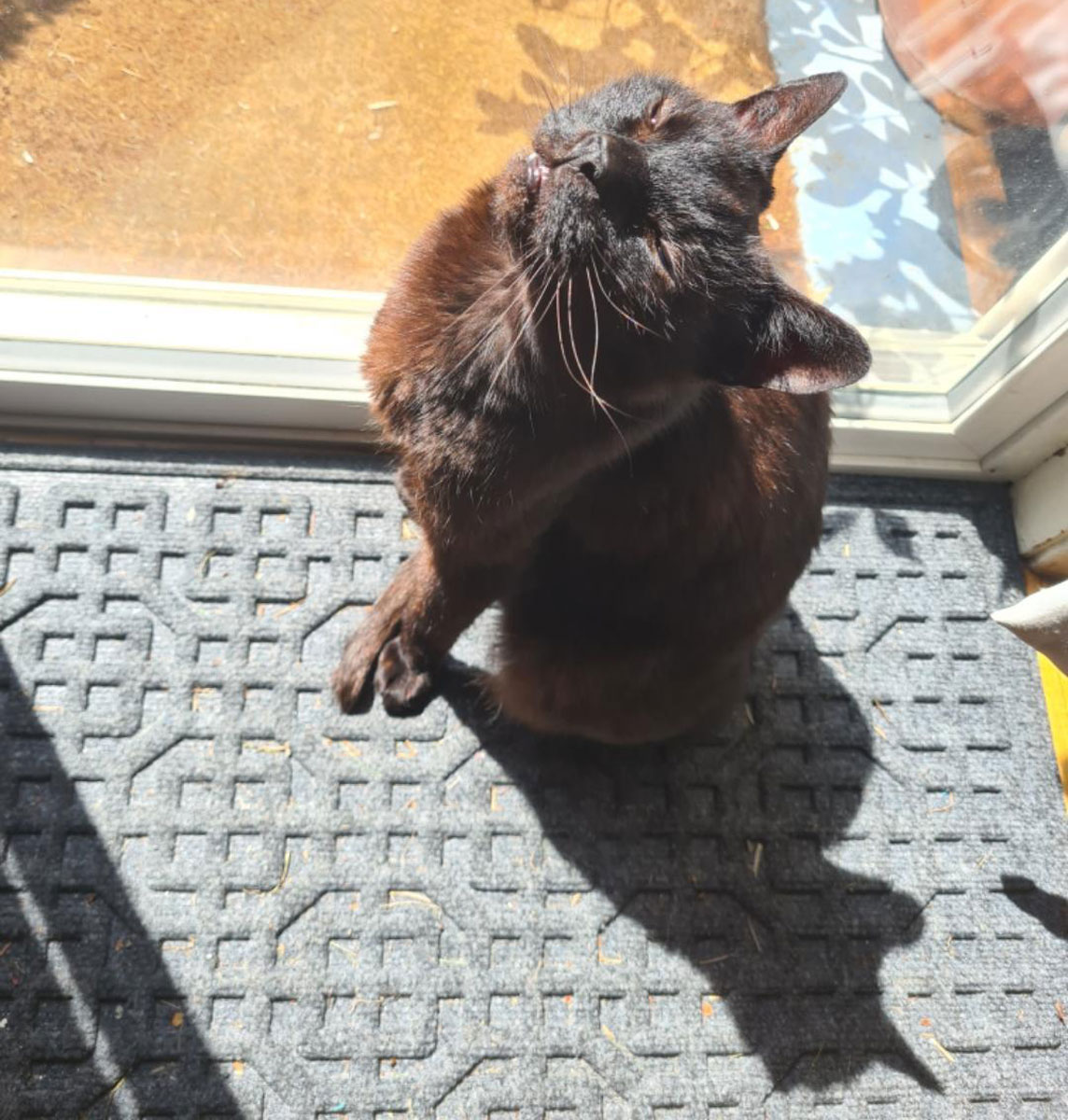 RayRay in the sun