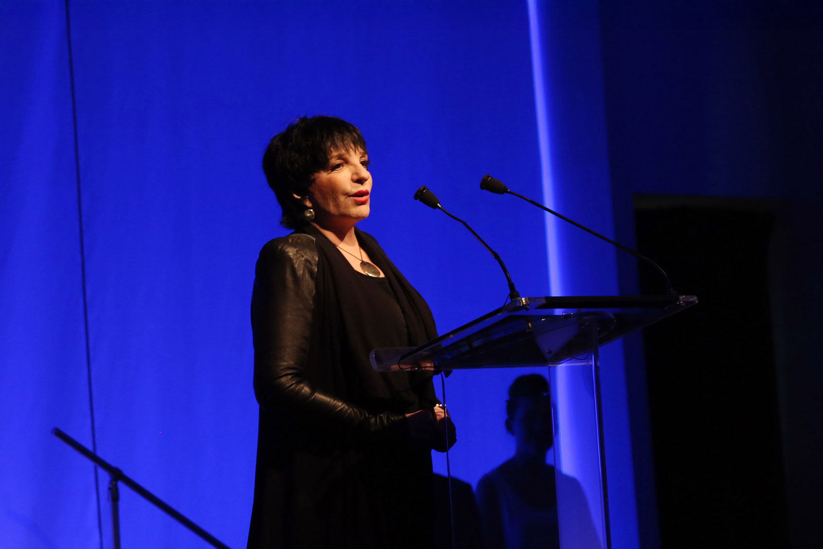 Actress Liza Minnelli speaks at the 8th Annual Stella By Starlight Benefit Gala at Espace on June 10, 2013, in New York City. (Johnny Nunez/WireImage/Getty Images)