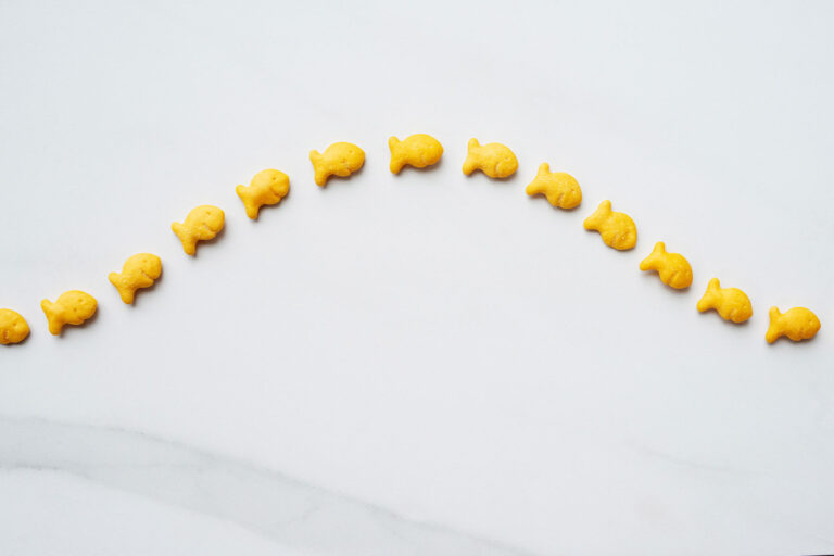Cheddar goldfish crackers (Getty Images/Laurie Ambrose)