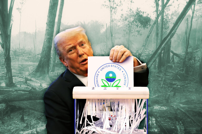 Donald Trump shredding the Environmental Protection Agency (EPA) logo (Photo illustration by Salon/Getty Images)