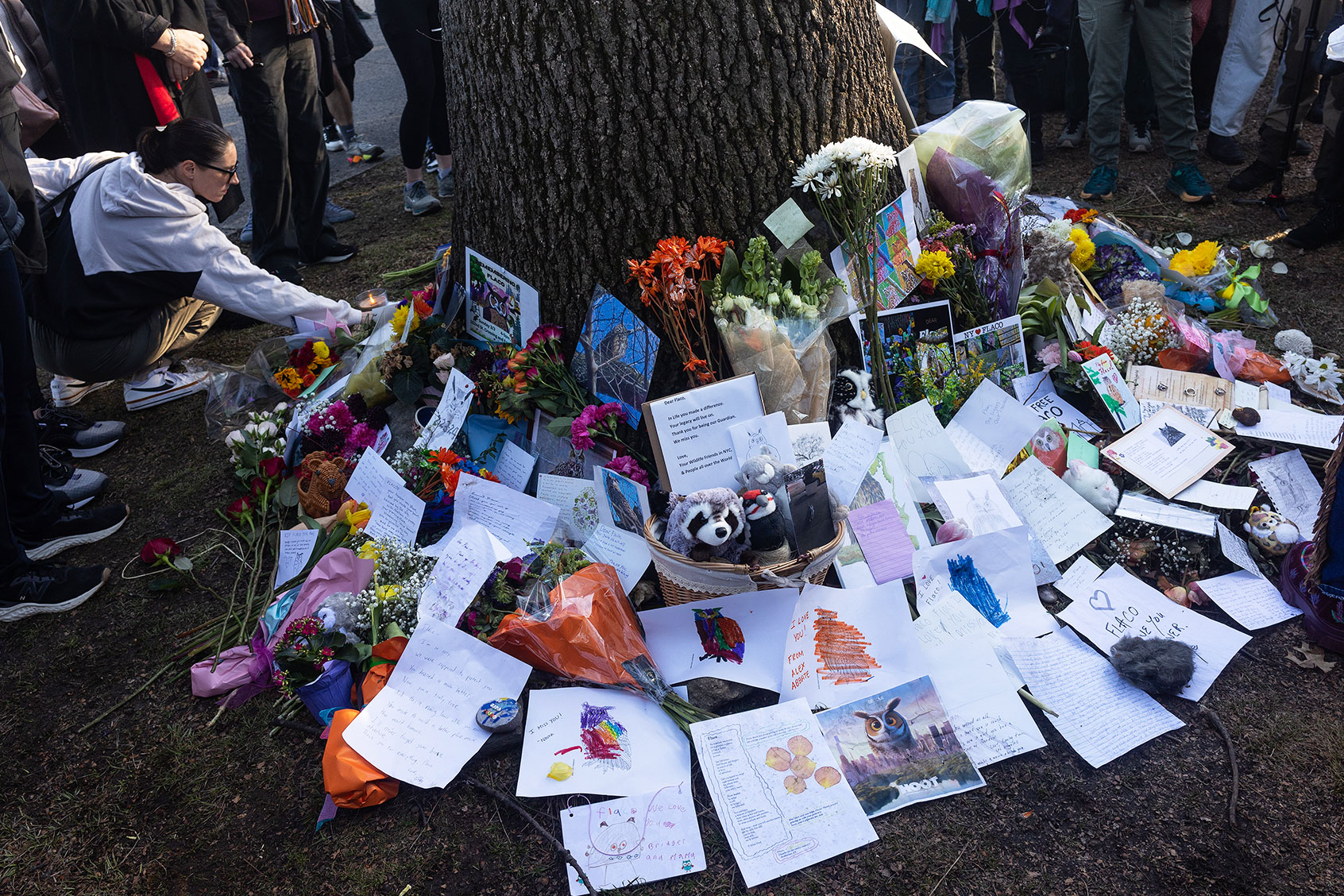 New Yorkers hold a memorial for Flaco