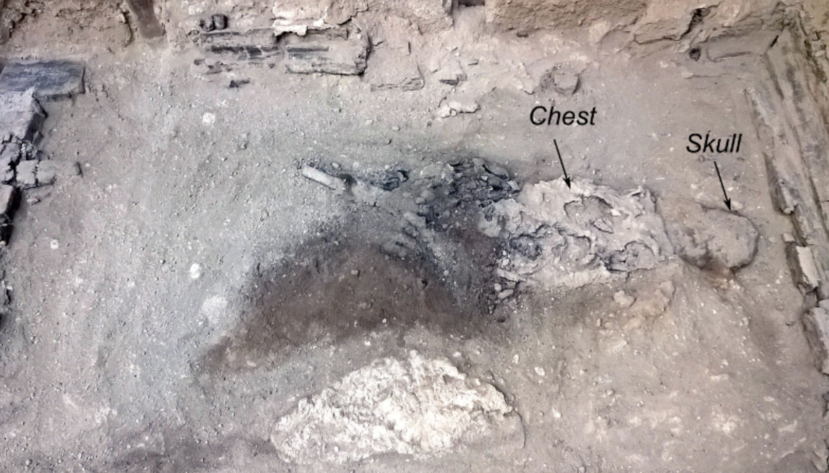 remains of the deceased individual in the Collegium Augustalium, Herculaneum