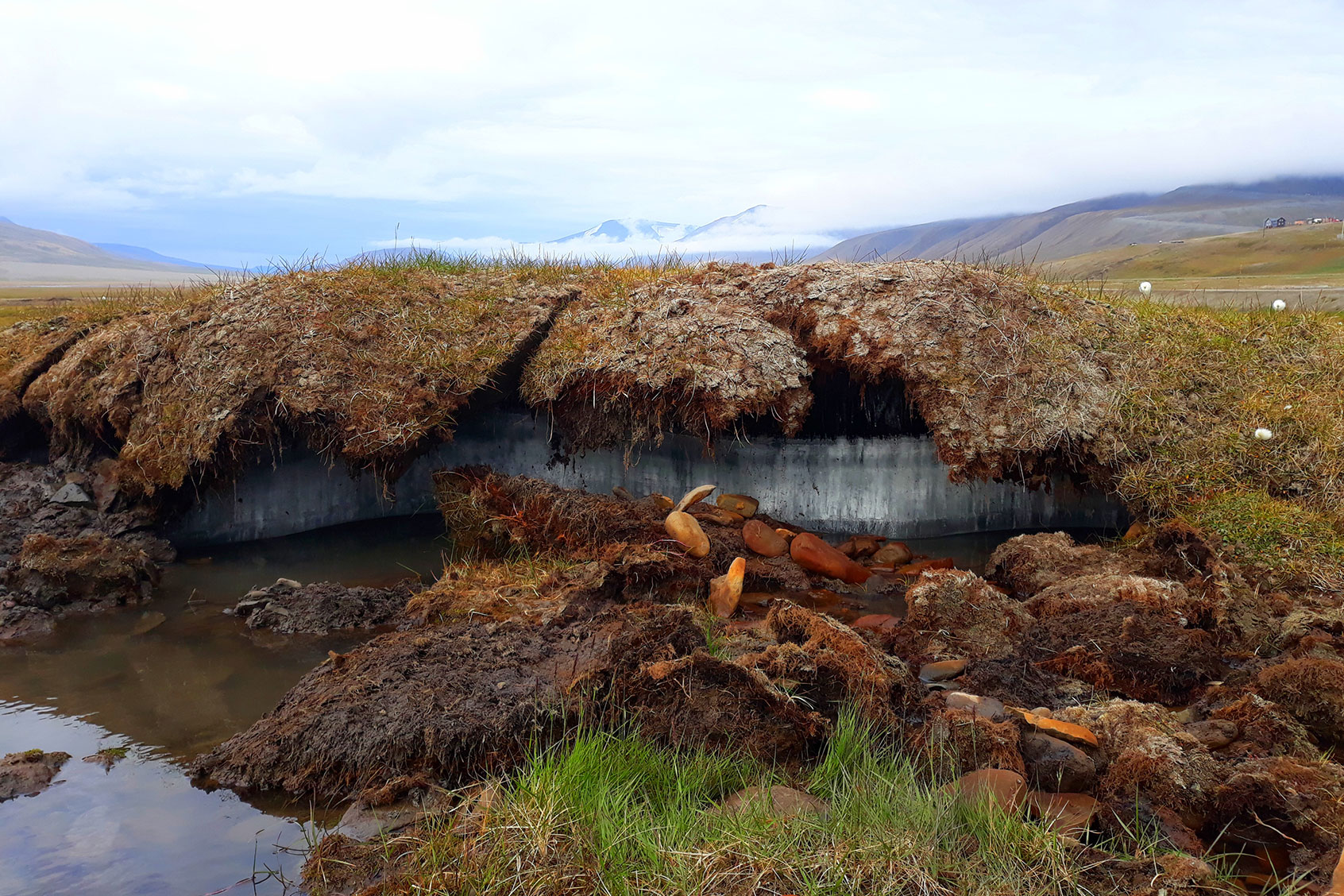 Permafrost under the layer of soil