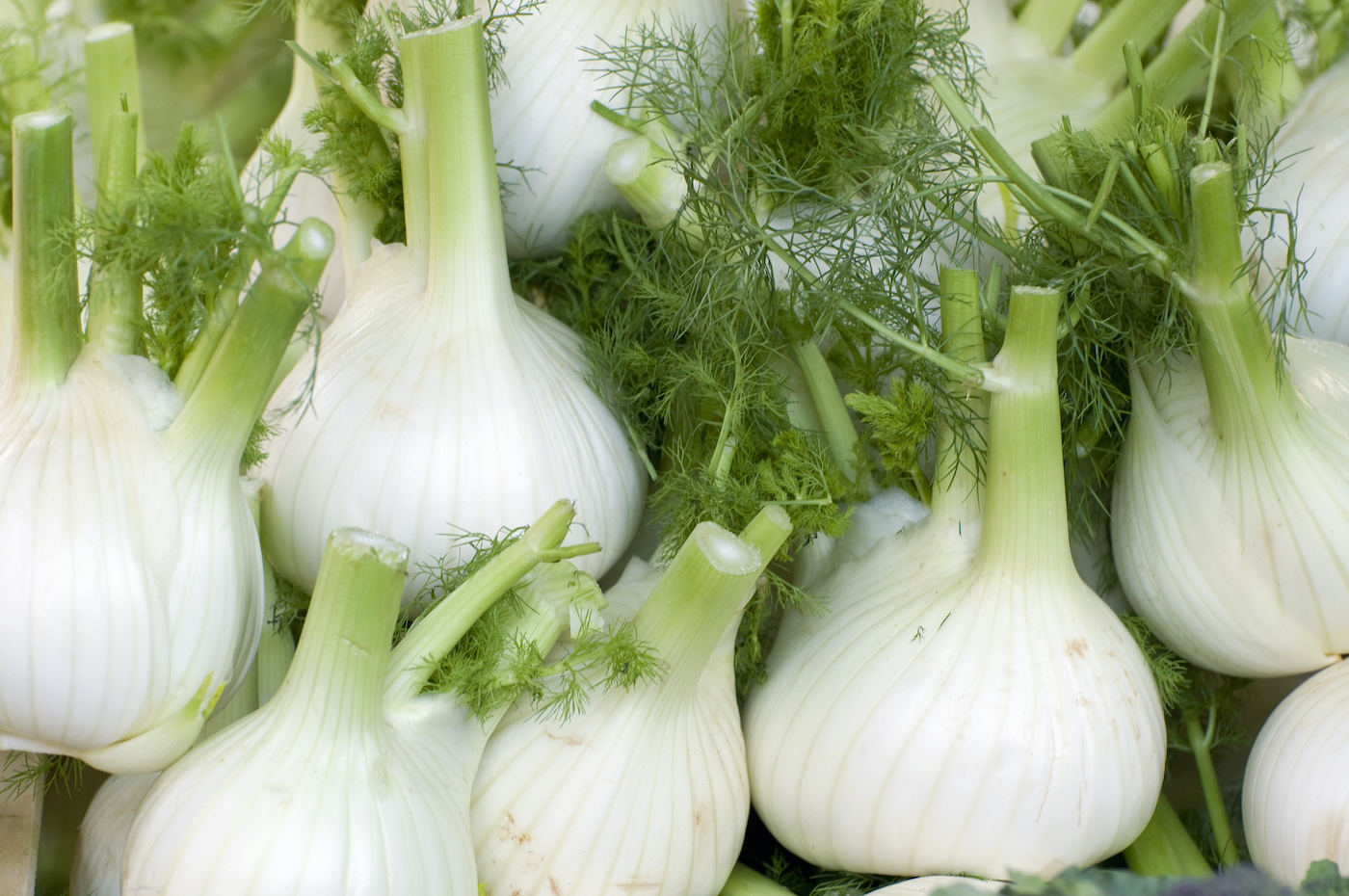 Fennel bulbs and fronds (Getty Images)