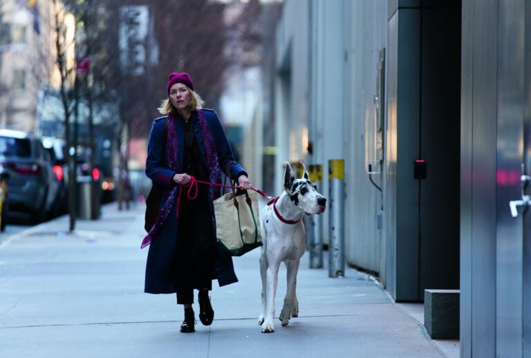 Naomi Watts and Bing in "The Friend" (Courtesy of Bleecker Street)