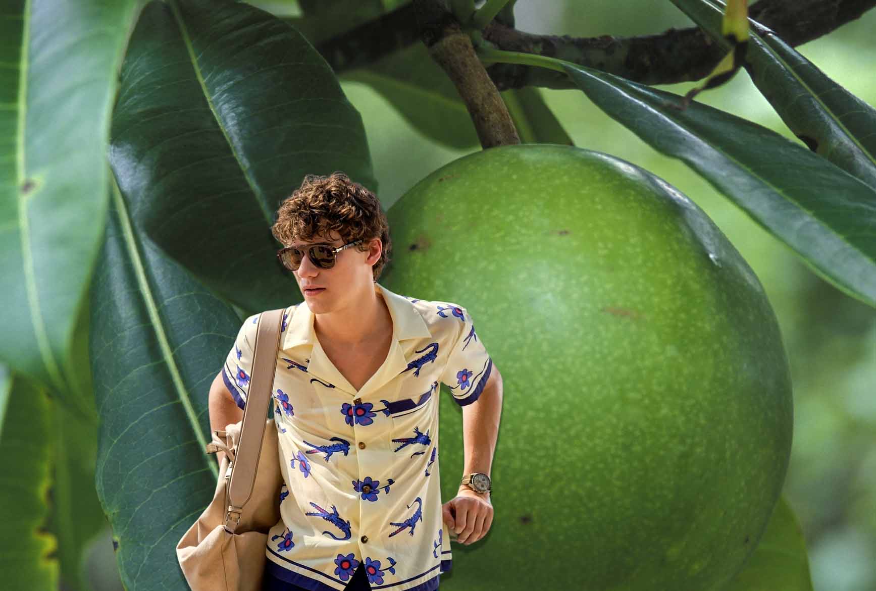 Sam Nivola as Lochlan Ratliff in "The White Lotus" and a Cerbera odollam tree (Photo Illustration by Salon / Getty Images / Jouan/Rius / Gamma-Rapho / Fabio Lovino/HBO)