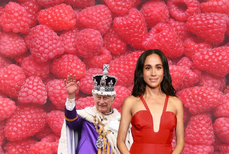 Britain's King Charles III and Meghan, Duchess of Sussex (Getty Images / AFP / Oli Scarff / Matt Winkelmeyer / Getty Images for Children's Hospital Los Angeles / Daniel Hurst Photography / Ekaterina Goncharova)
