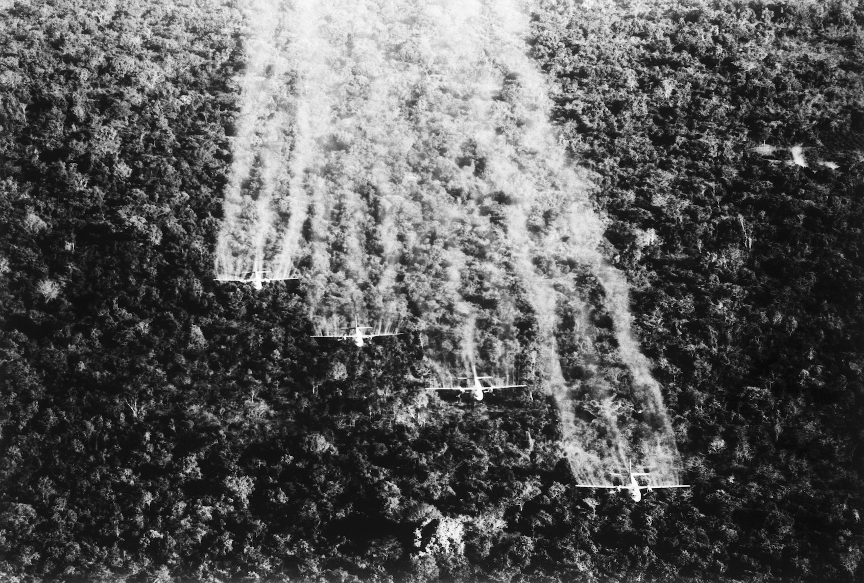 9/30/1965 - Tan Son Nhut, South Vietnam: A flight of four United States Air Force Ranch Hand C-123s spray a Viet Cong jungle position near here with a defoliating liquid. The four specially equipped aircraft cover a swath of more than 1,000 feet wide on each pass over the dense jungle. (Getty Images / Bettmann)