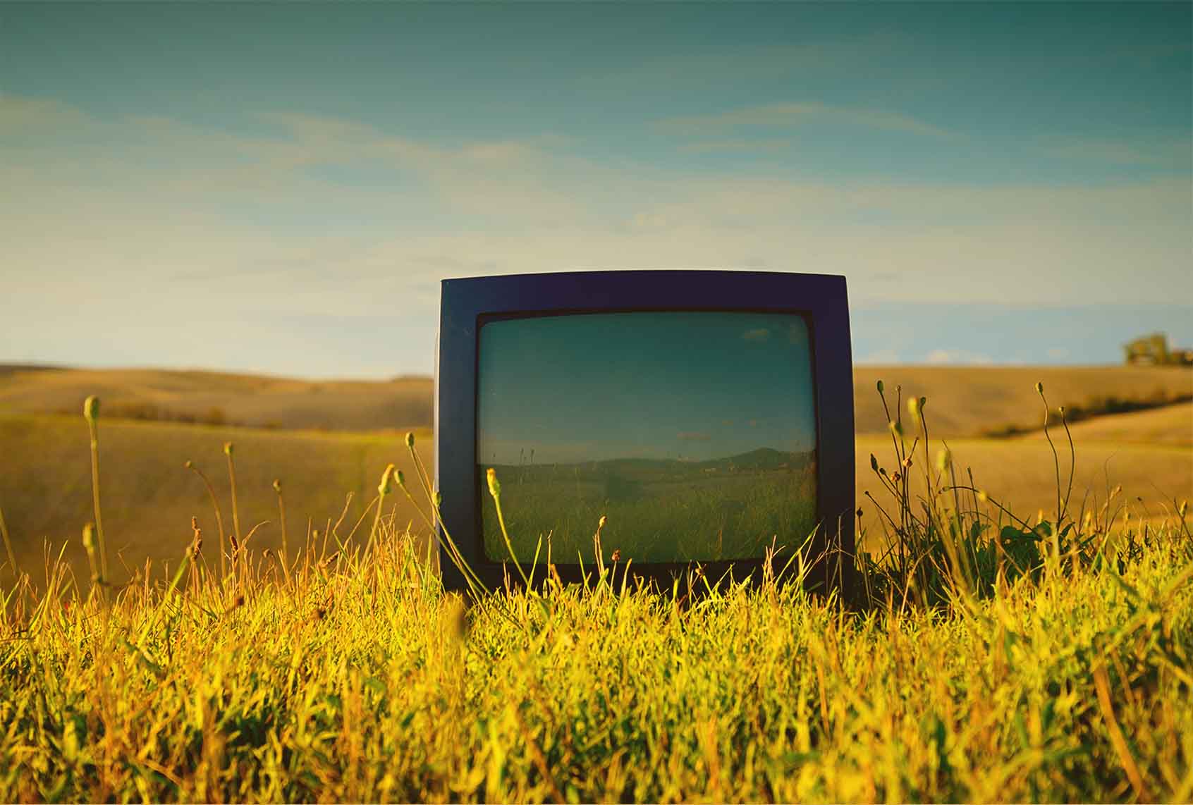 A television in a field