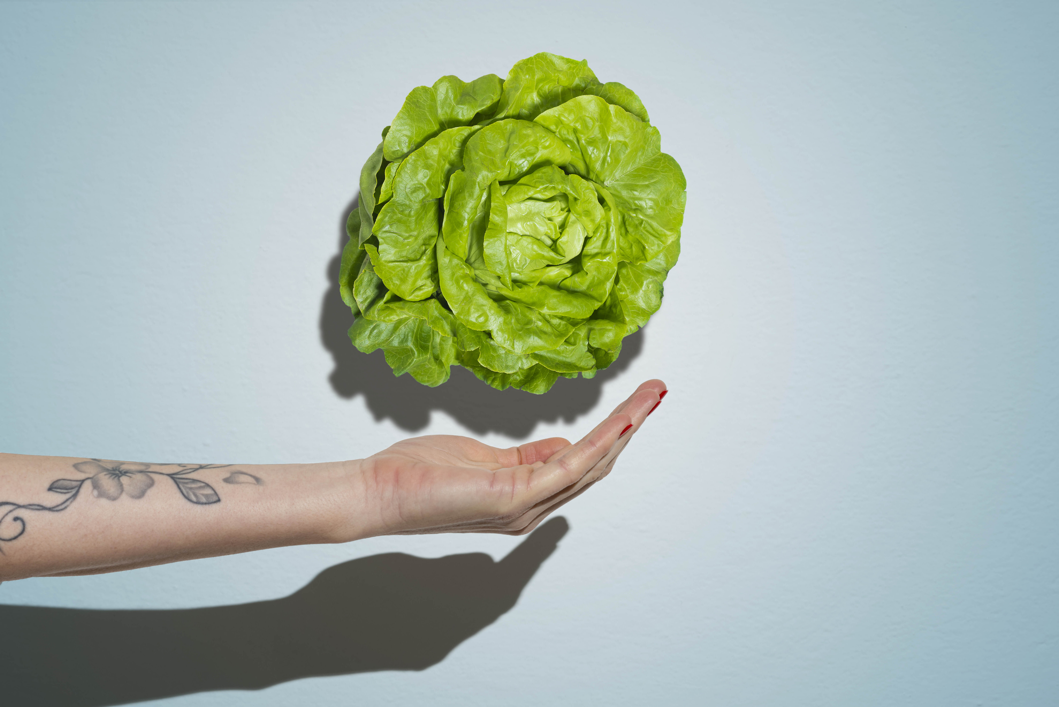 Lettuce (Getty Images/ Francesco Carta fotografo)