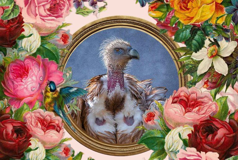 A framed vulture surrounded by beautiful flowers (Photo Illustration by Salon / Getty Images / milanosss / 500px / Eduardo R / Tomekbudujedomek / Sergey Ryumin)