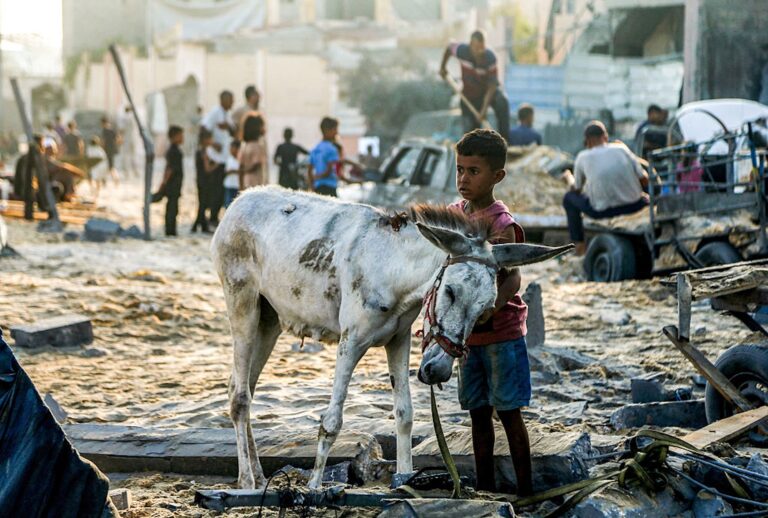 A boy strokes the neck of a donkey as they stand amidst rubble following overnight Israeli bombardment in the southern Gaza Strip on July 28, 2025. (AFP via Getty Images)