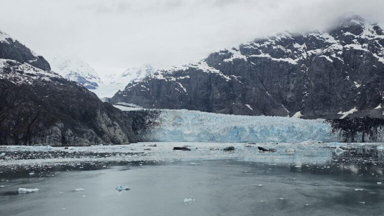 View in Alaska (Jodyann Morgan)