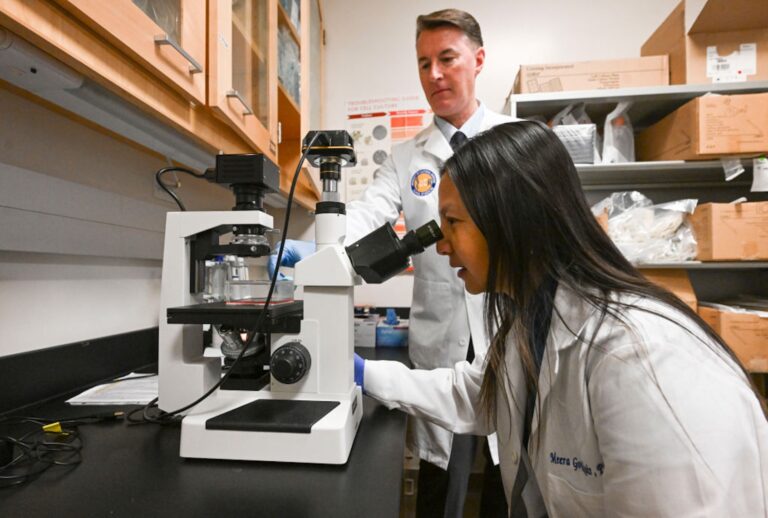 Meera G. Nair, Ph.D., and Declan F. McCole, Ph.D., AGAF, professors of biomedical sciences at the University of California, Riverside, observe intestinal epithelial cells on Tuesday, Feb. 11, 2025. (Anjali Sharif-Paul/MediaNewsGroup/The Press-Enterprise via Getty Images)