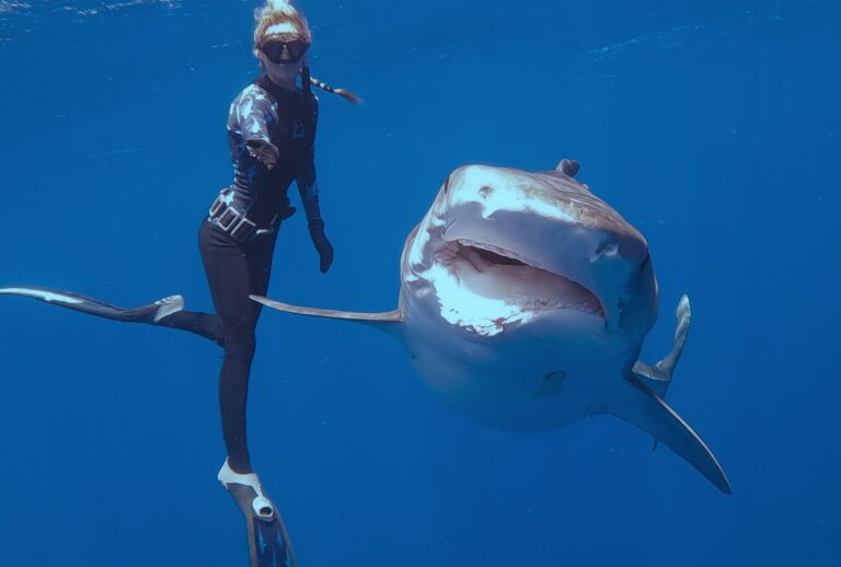 Ocean Ramsey in "Shark Whisperer" (Netflix)