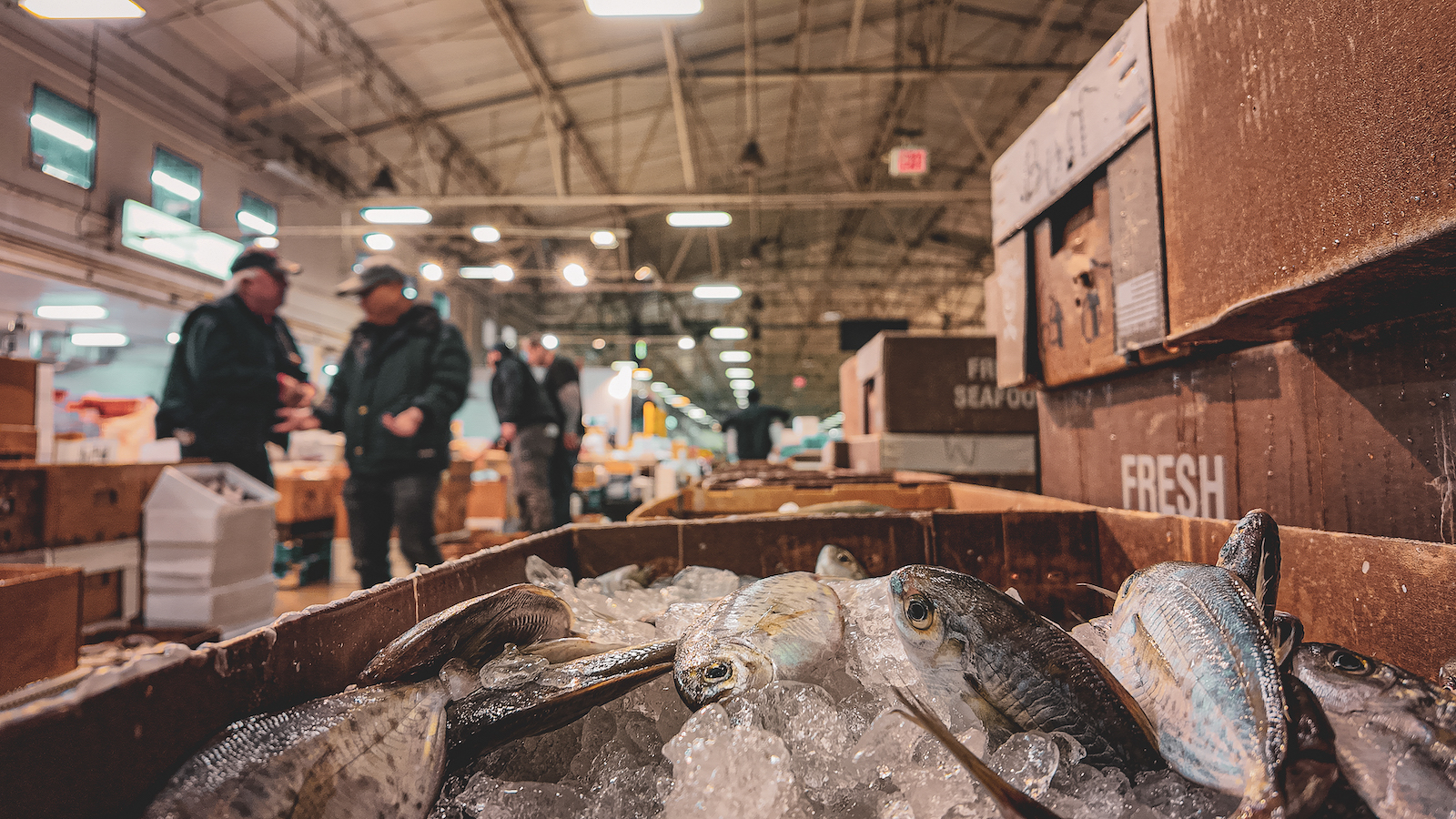 Early morning at New Fulton Fish Market (Lochlain Healy)
