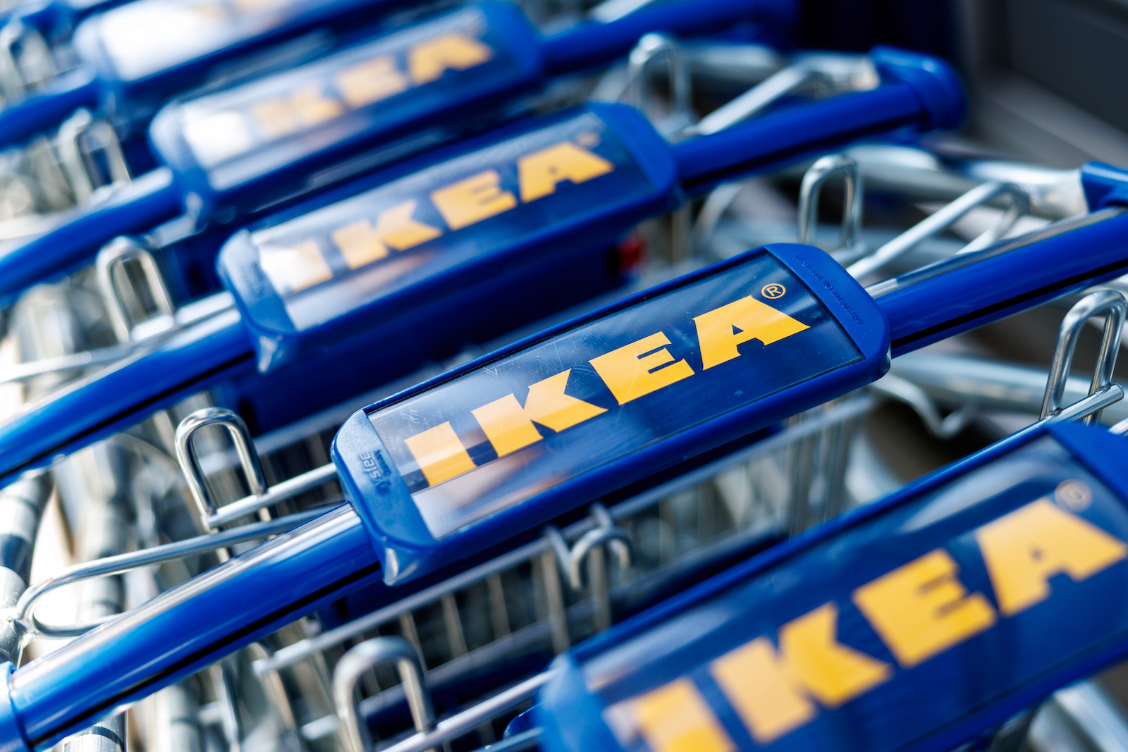 The logo of the furniture store IKEA can be seen on shopping carts (Matthias Balk/picture alliance via Getty Images)