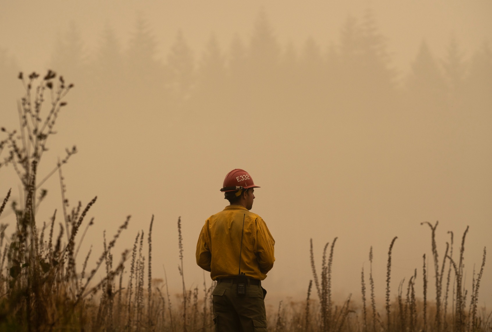 A firefighter surveys a field near the Riverside Fire on September 13, 2020 in Glen Avon, Oregon. (Nathan Howard/Getty Images)