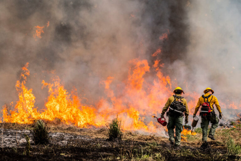 Firefighters from all over the Pacific Northwest have been descending on Washington to help battle the Bear Gulch wildfire. Until Border Patrol detained 2, bringing questions about whether emergency services trump political agendas. (David Ryder / Getty Images)