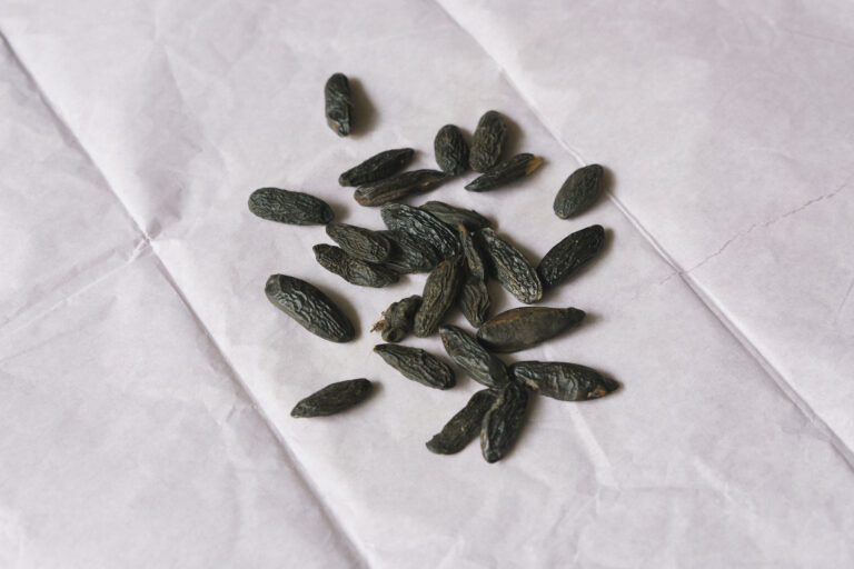 (Halfdark/Getty Images)