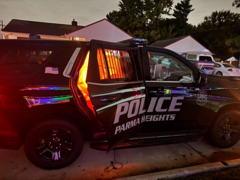 Yes, that is a giant inflatable pumpkin in the back of that police cruiser. It has temporarily escaped before the police wrangled it and returned it to its owner. (Parma Heights Police Department)
