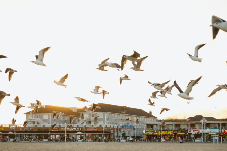When the tourists go, hunger moves in  Restaurants and shops on the boardwalk (eurobanks/Getty Images)