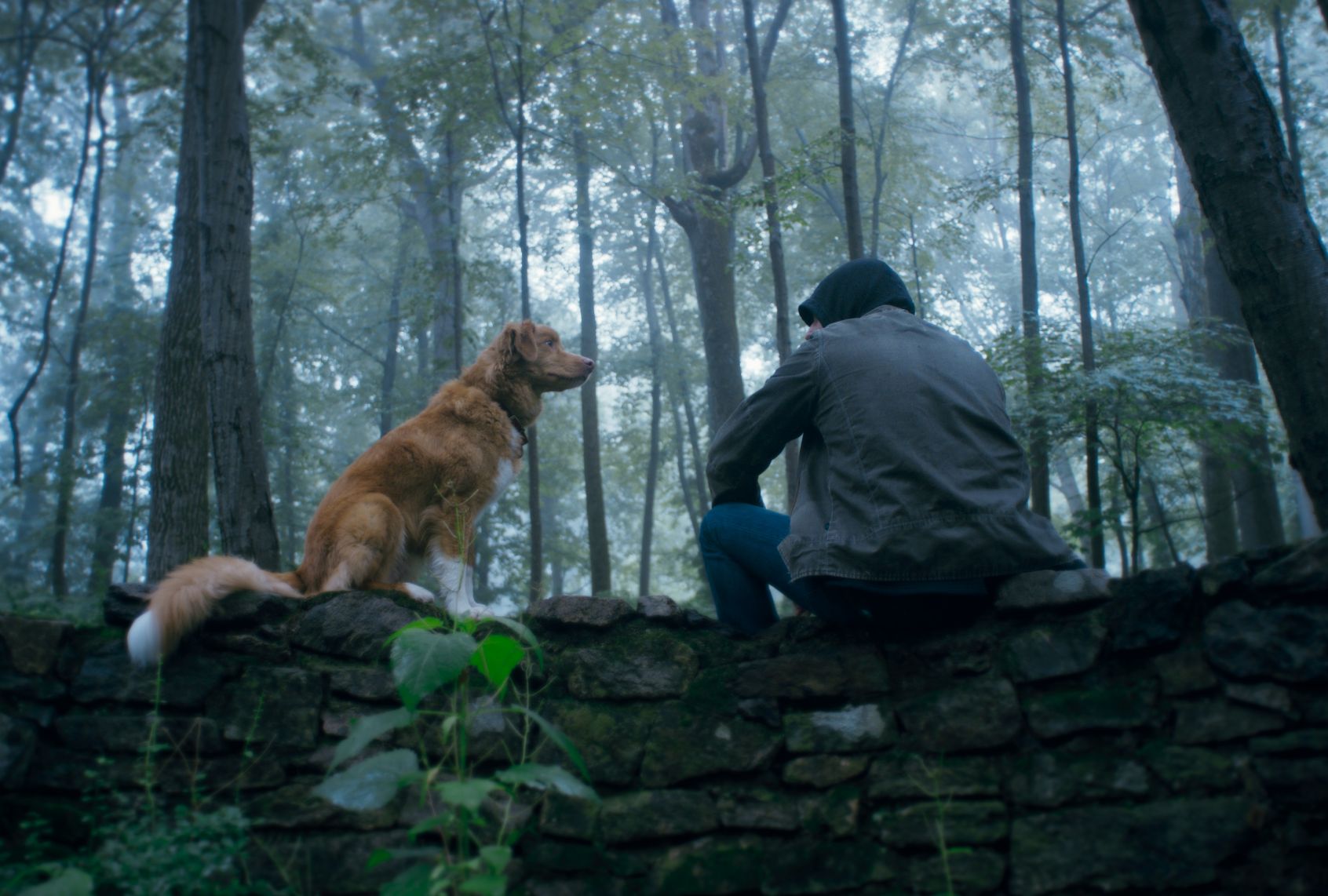 Indy and Shane Jensen as Todd in "Good Boy"
