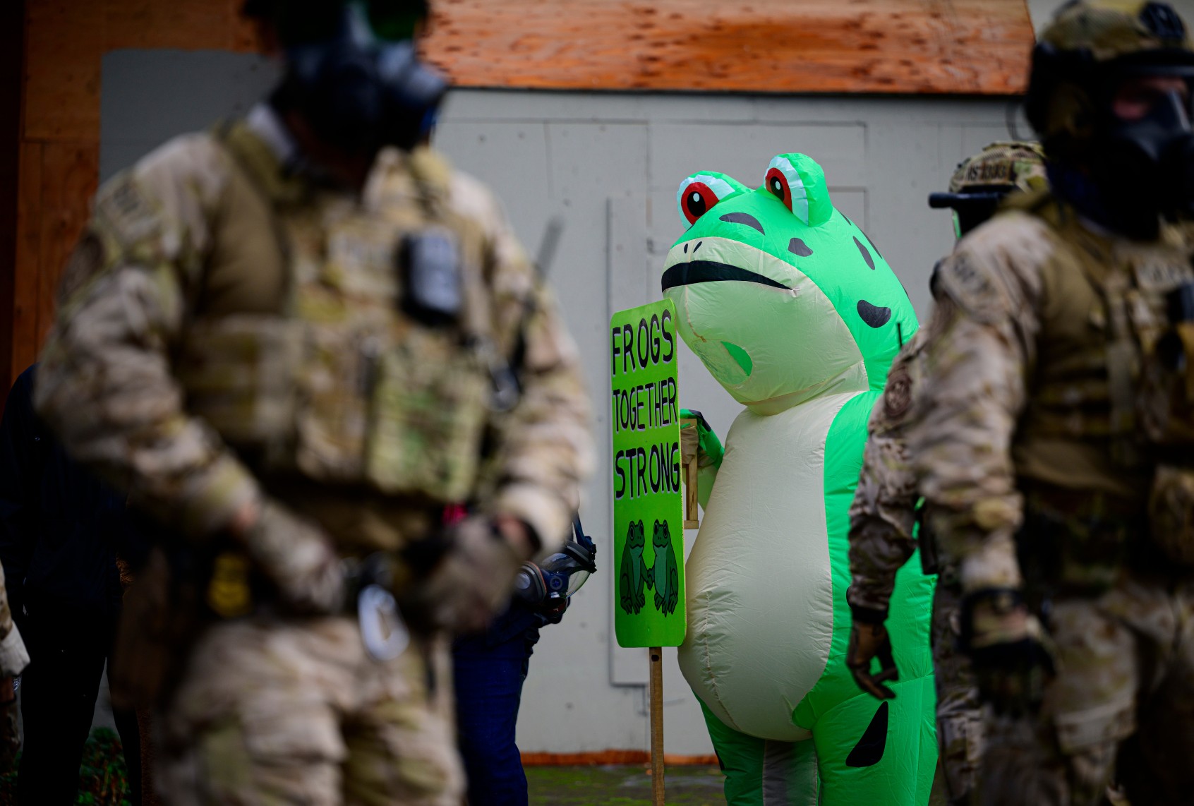 An anti-ICE protester in a frog costume holds a sign on October 12, 2025 in Portland, Oregon. (Mathieu Lewis-Rolland/Getty Images)