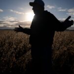 salon.com - Kee Hyun Park - Farmers - long Trump backers - bear the costs of his new policies