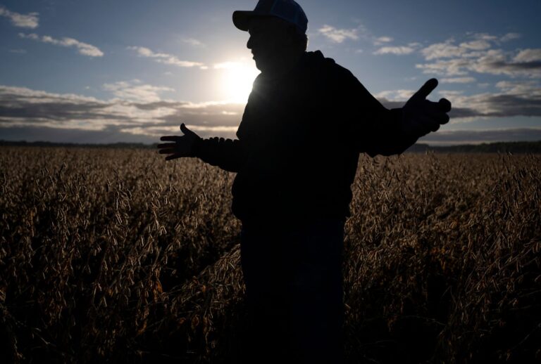 Travis Hutchison, a soybean farmer, on his family's farm in Cordova, Maryland, on October 10, 2025. Soybean prices "are really depressed because of the trade war," Hutchison told AFP. (ROBERTO SCHMIDT/AFP via Getty Images)