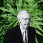 salon.com - Russell Payne - Why Mitch McConnell helped kill the hemp buzz