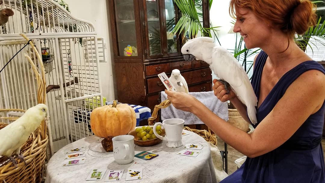 A red-haired woman in a navy dress holds a parrot in one hand and a card in her other. Two other white parrots are also perched nearby watching.