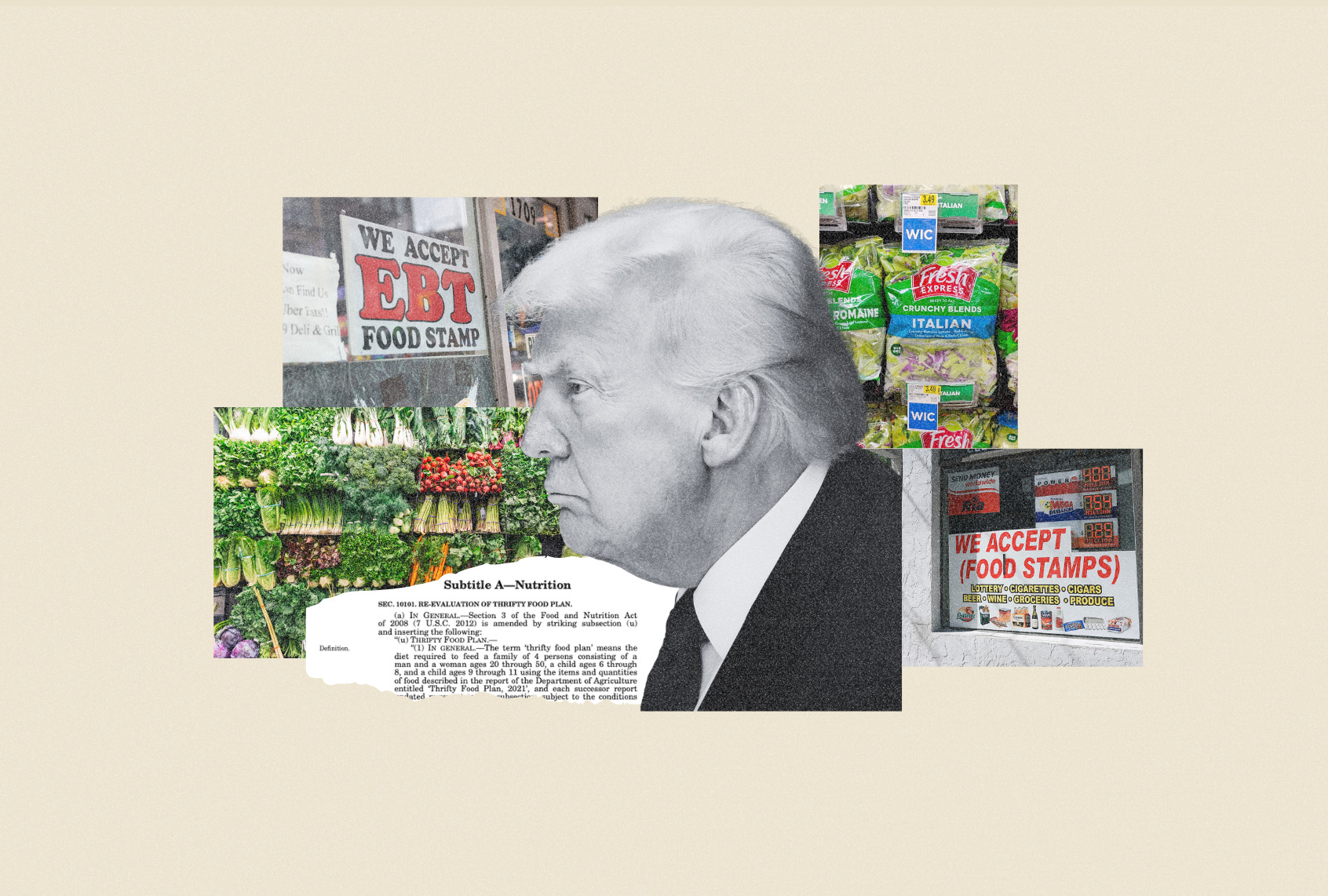 (Photo illustration by Salon / Getty Images / Andrew Harnik / Joe Raedle / Michael M. Santiago / Universal Images Group)