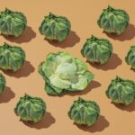 salon.com - Joy Saha - Cabbages are everywhere - here's why it's more than a trend