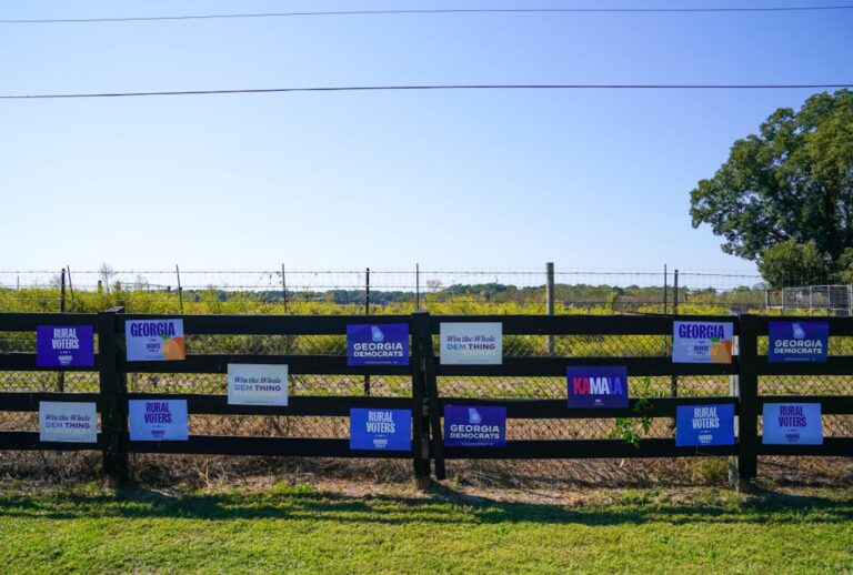 Democratic campaign posters in rural Georgia (Julia Beverly/Getty Images)