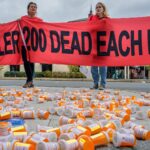 salon.com - Craig R. McCoy - After years of waiting, many opioid victims will be shut out of Purdue settlement