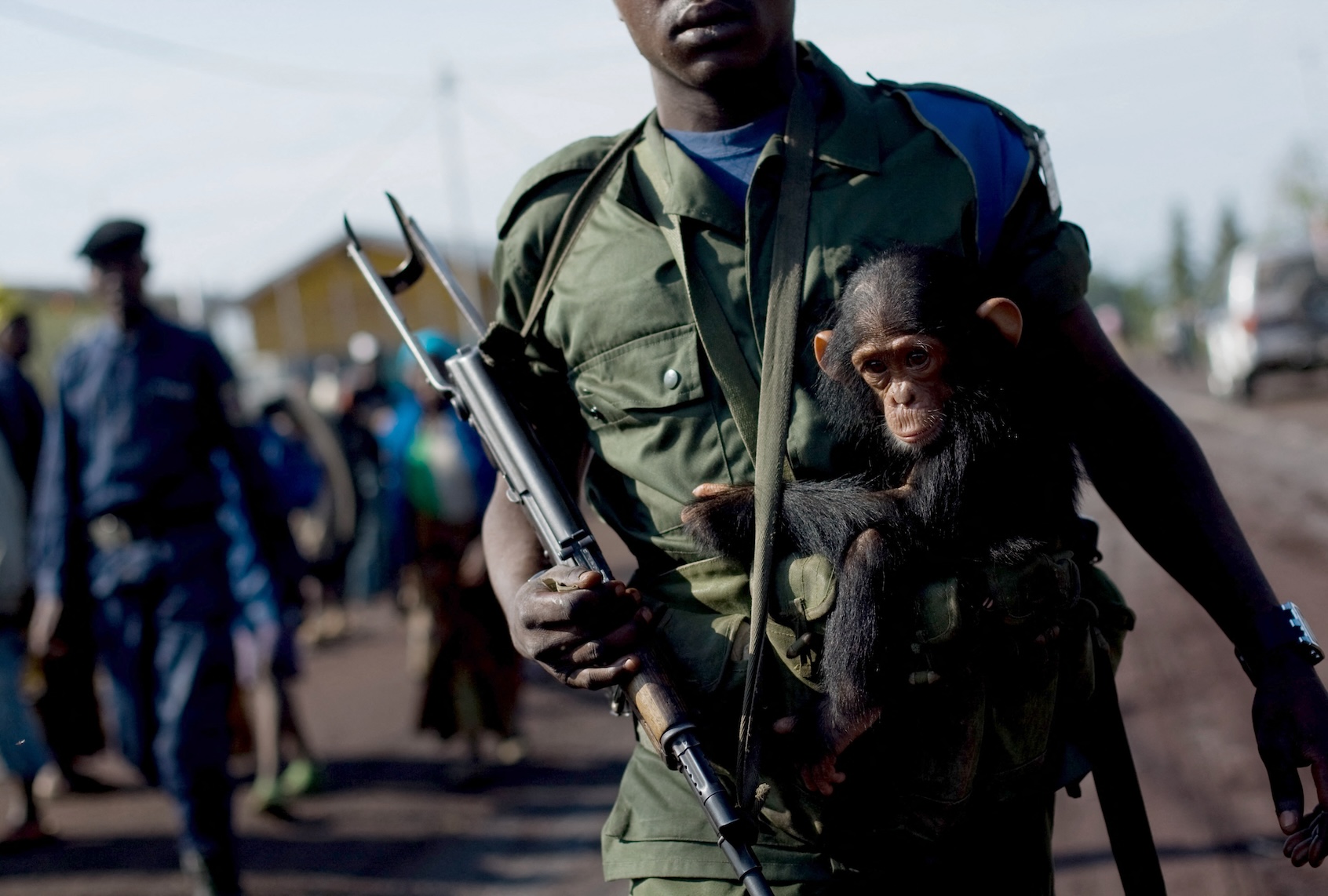 A Congolese Army soldier holds a baby chimpanzee while manning a checkpoint in the entrance to the provincial capital of Goma, Congo on November 6, 2008. (Photo by Yasuyoshi Chiba/AFP via Getty Images)