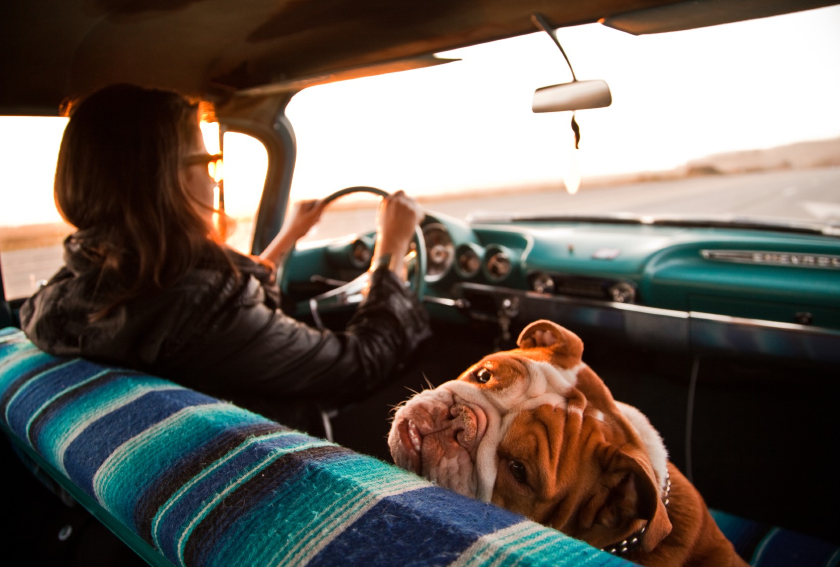Road-tripping with a dog (David Bouchat/Getty Images)