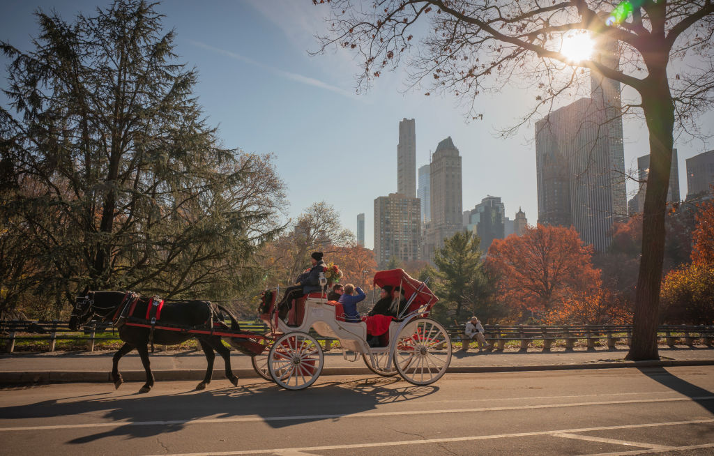 Horse-drawn carriages are a common sight in Central Park, but continued deaths and accidents are prompting long-term bans of the industry. (Anthony Devlin / Getty Images)