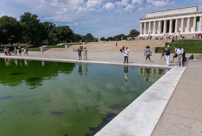 The Lincoln Memorial Reflecting Pool has turned green with algae bloom (Tasos Katopodis/Getty Images)