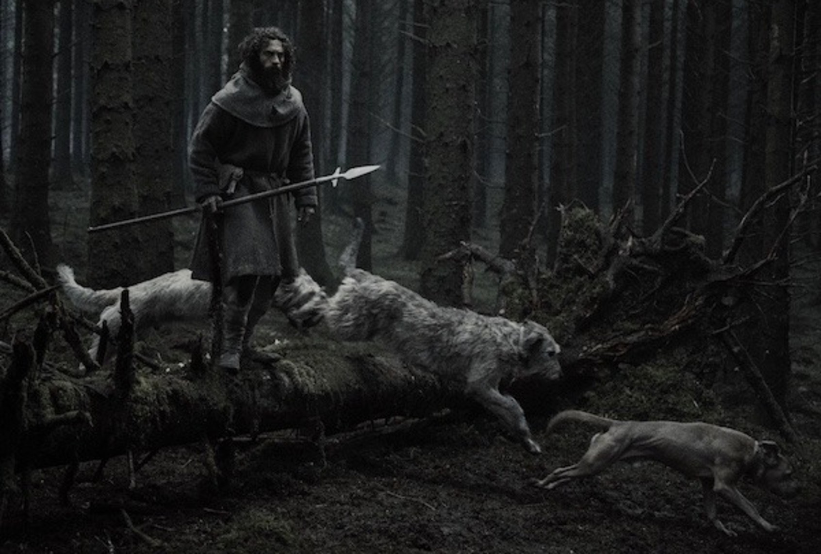 Aaron Taylor-Johnson in "Werwulf" (Focus Features)