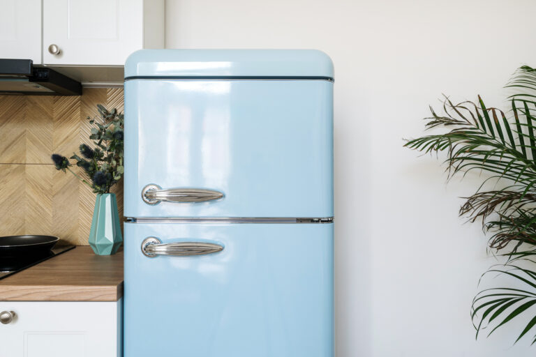 Blue retro freezer (brizmaker / Getty Images)